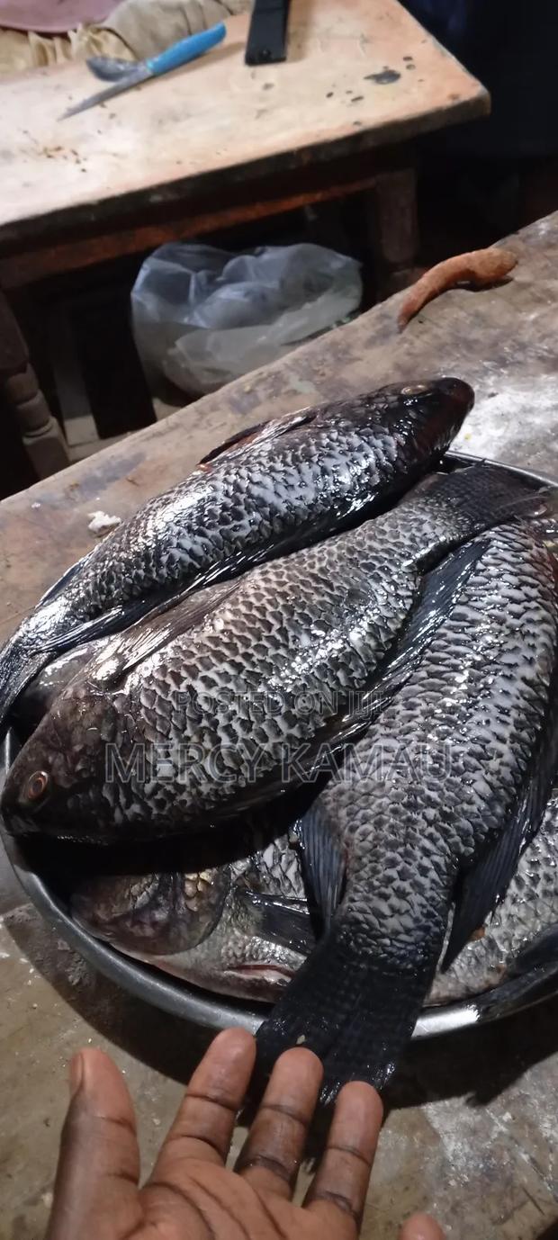 Tilapia Fish - main view