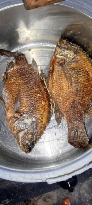 Tilapia Fish