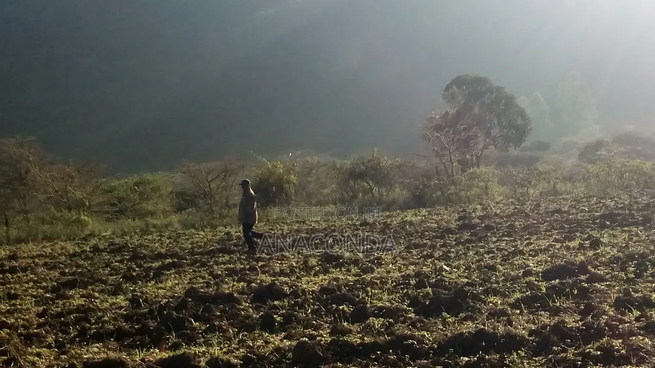3 Acres of Land for Sale in Karandi Nyahururu .