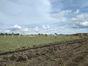 Get You a 50 by 100ft Plot in Kitengela