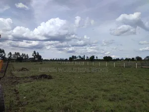Get You a 50 by 100ft Plot in Kitengela