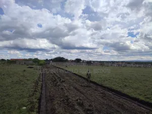 Get You a 50 by 100ft Plot in Kitengela