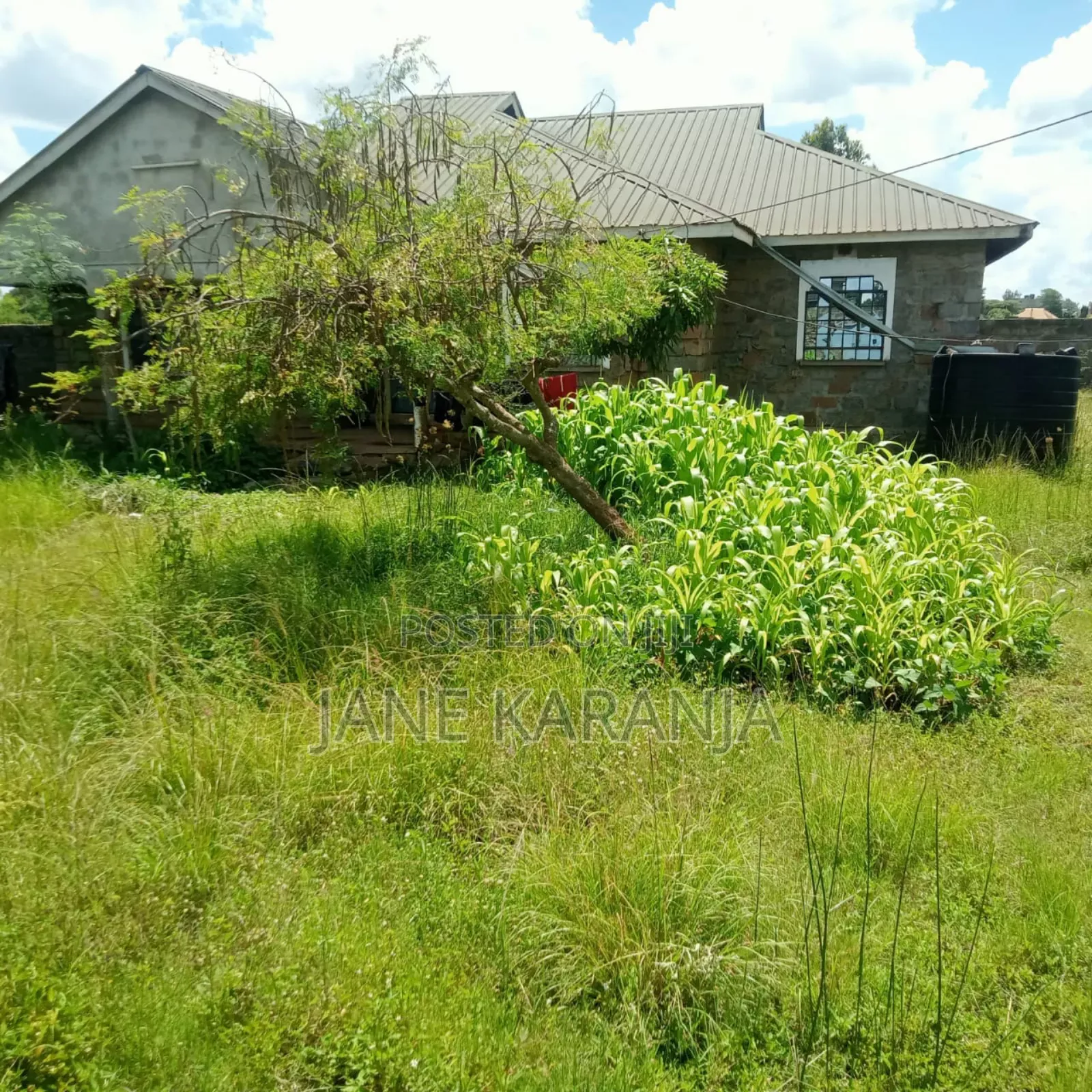 4bdrm Bungalow in Landless, Thika for sale