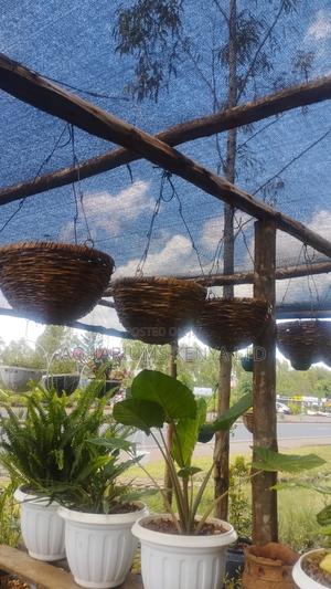 Hanging Basket Made of Makuti - main view