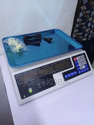 Digital Weighing Scale (40kgs) Without Arm