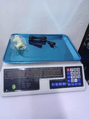 Digital Weighing Scale (40kgs) Without Arm