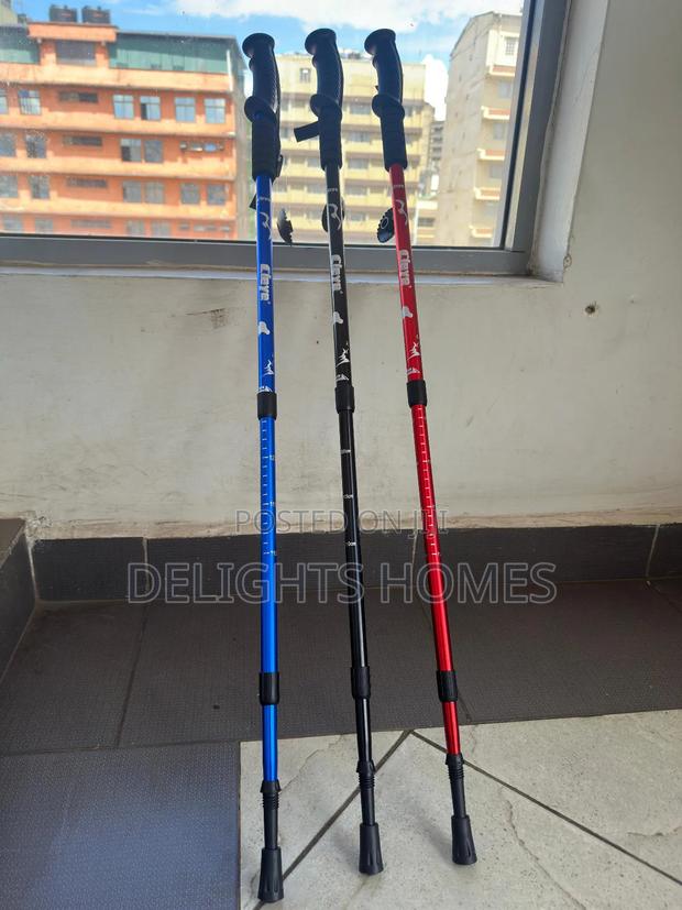 Adjustable Hiking Poles_tt - main view