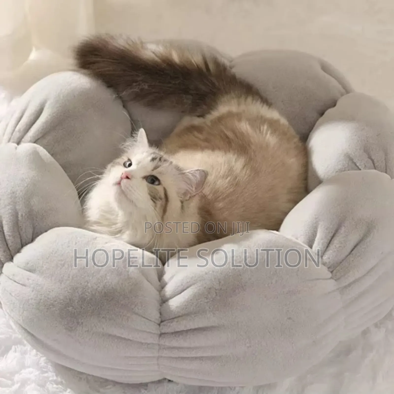 Plush Pillow