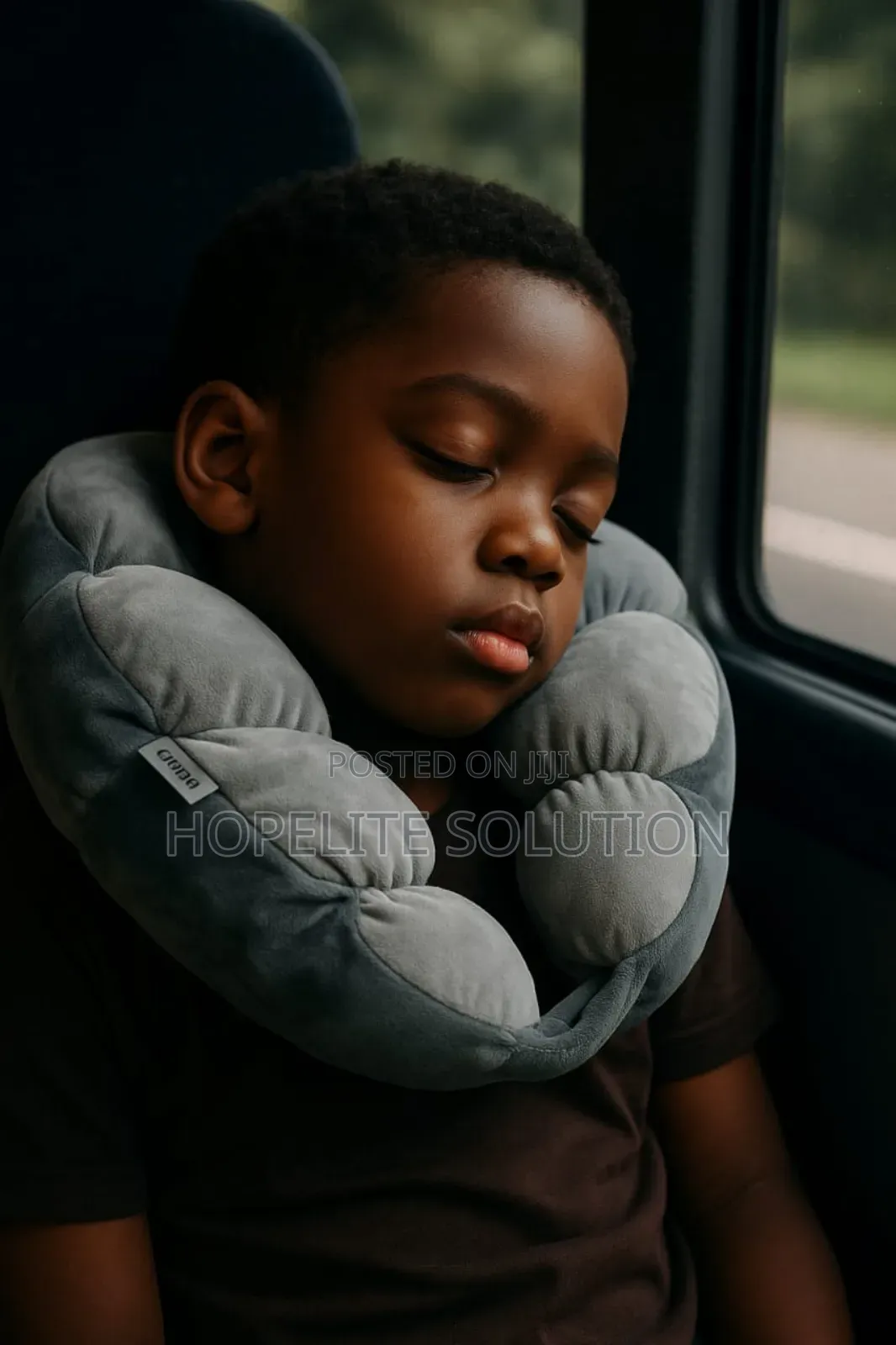 Plush Pillow