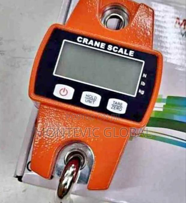 Mini Crane Scale 300kgs