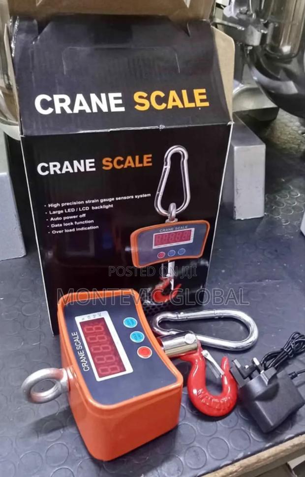 Crane Scale 500kgs - main view