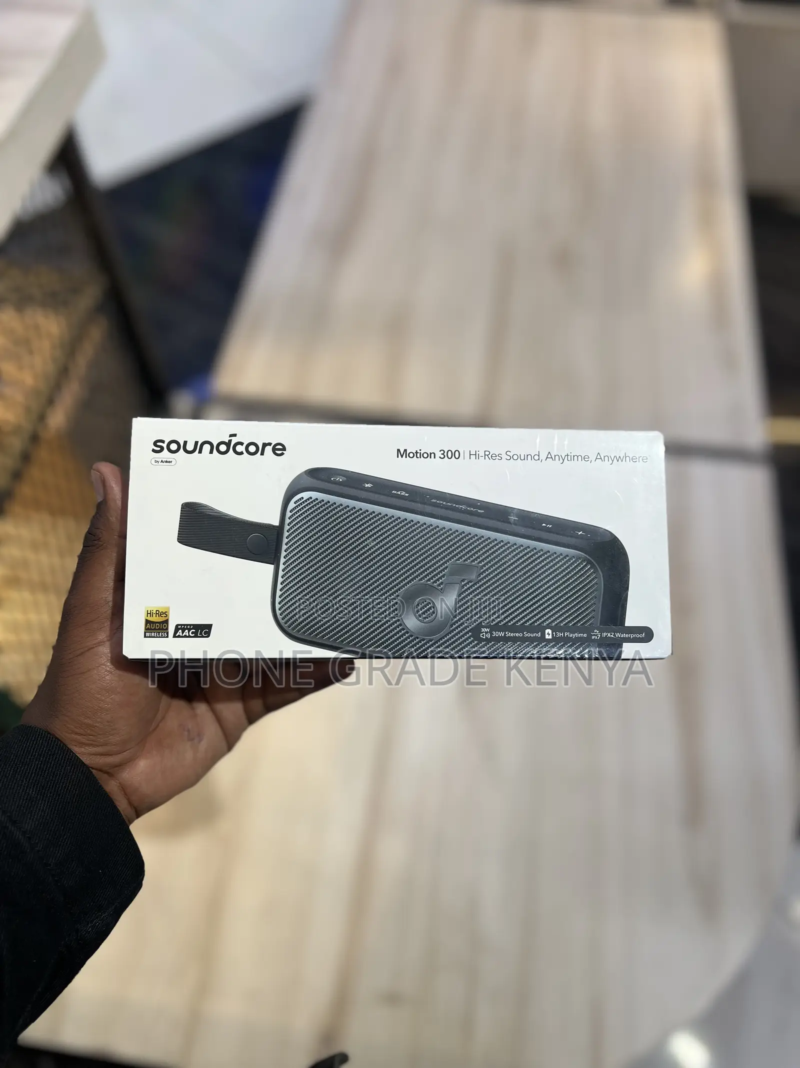 Soundcore Motion 300