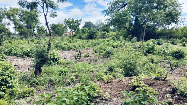 3/4 Acre Second Row Beach Plot!! - thumbnail 3