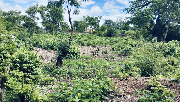 3/4 Acre Second Row Beach Plot!! - thumbnail 4