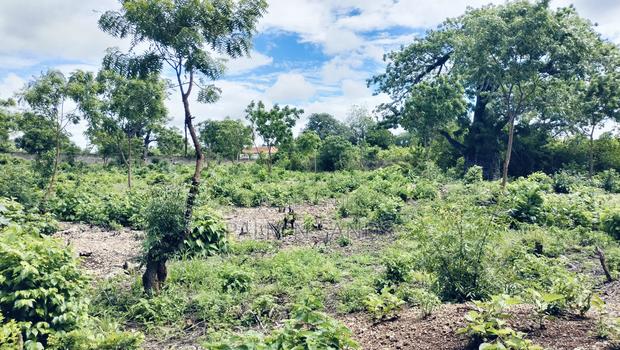 3/4 Acre Second Row Beach Plot!! - thumbnail 6