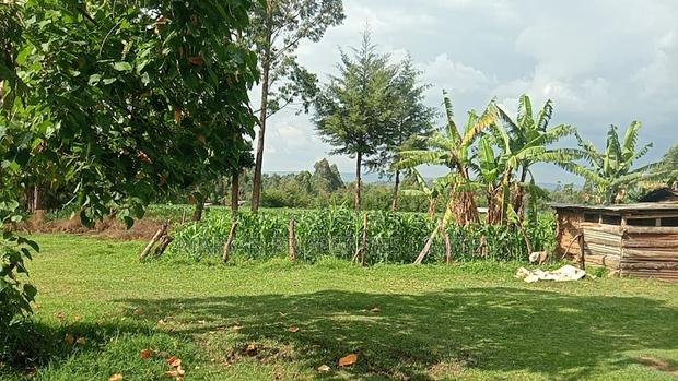4.5 Acres for Sale in Muting'ong'o Kakamega