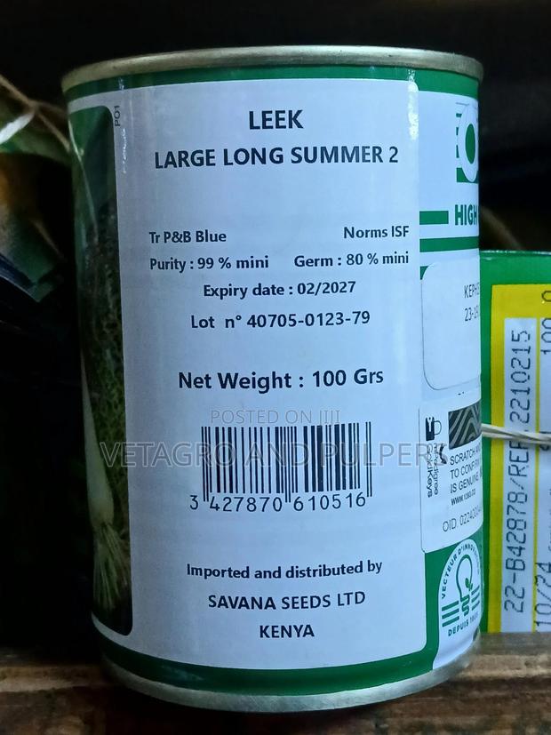 Leek Large Long Summer 2 - main view