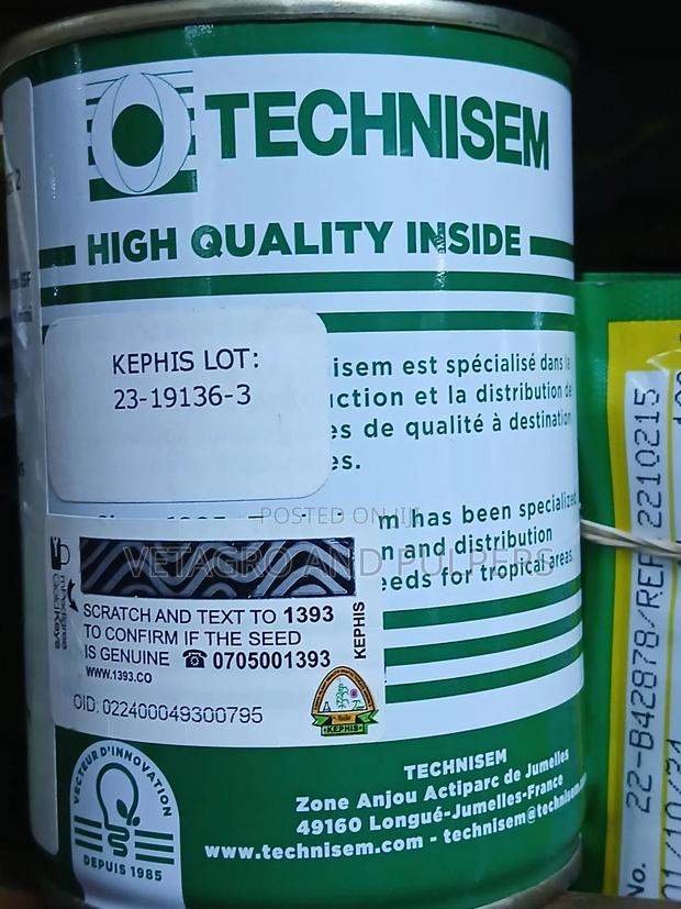 Leek Large Long Summer 2 - thumbnail 4