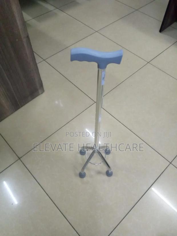 Quad Walking Stick - main view