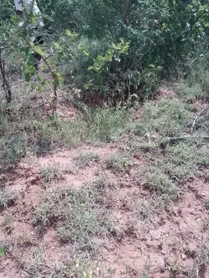 Machakos Land for Sale -1,2 ,3 ,4 or 5 Acre's