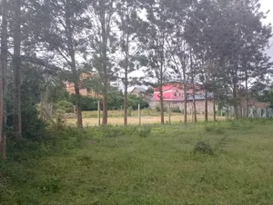 Machakos Town 50 by 100 Ft Plot and 100ft by 100ft.