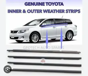 Toyota Fielder/Axio Weather Strips