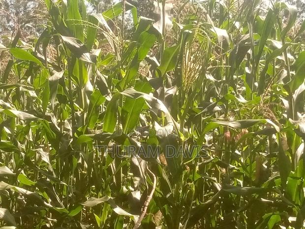 1 Acre Ruiri - main view