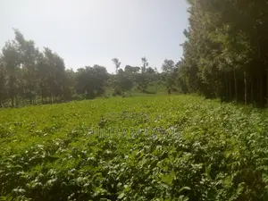 1 Acre Ruiri