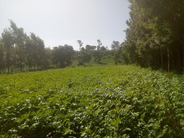 1 Acre Ruiri - thumbnail 4