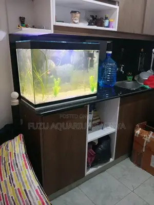 Elegant 2ft Aquarium – Ready to Impress!