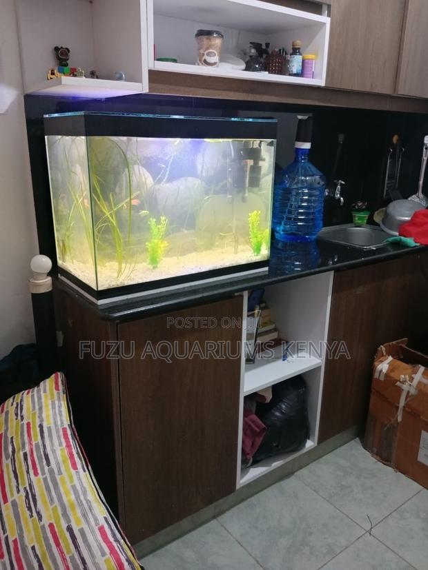 Elegant 2ft Aquarium – Ready to Impress! - main view