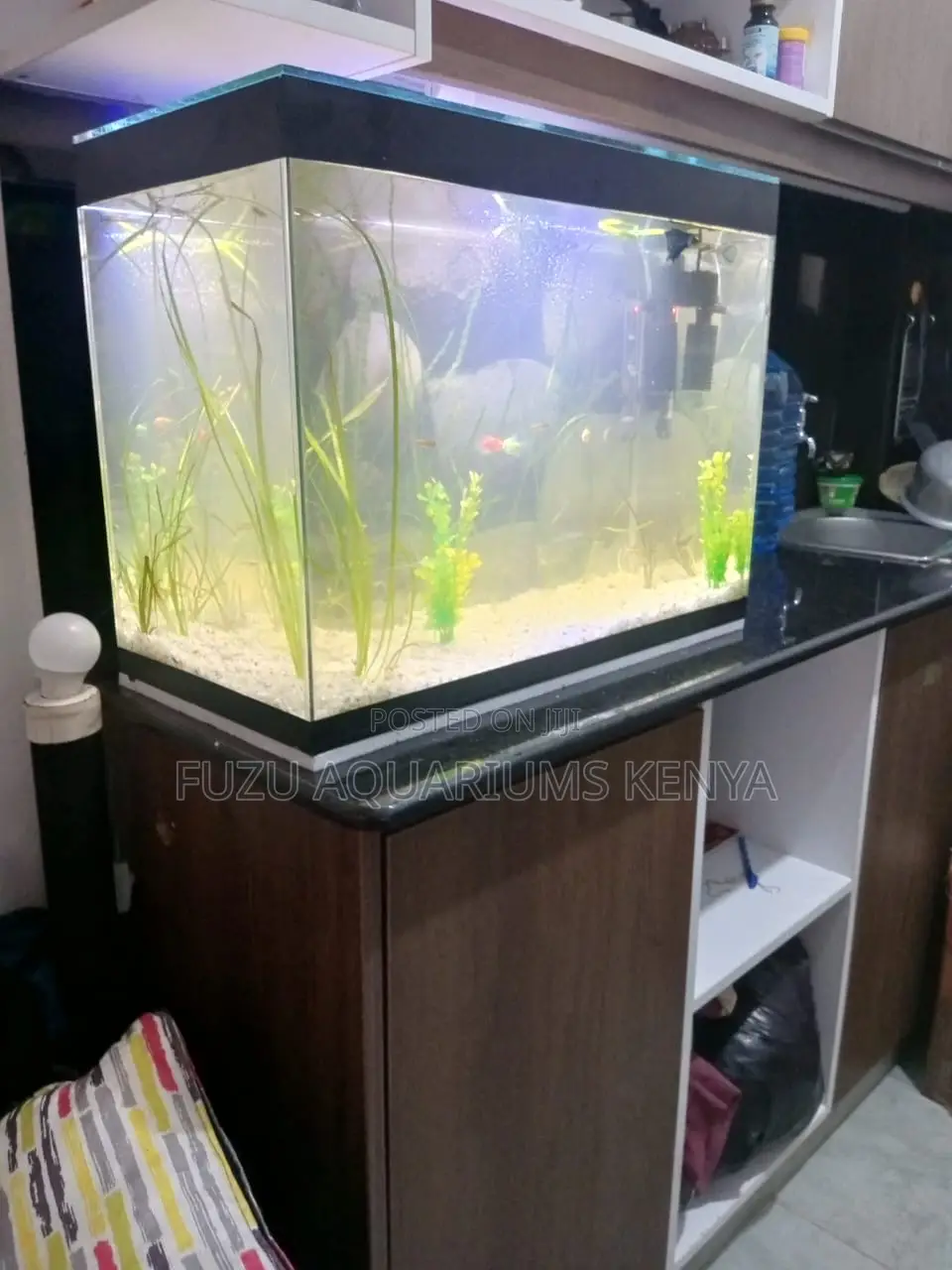 Fully Loaded 2ft Aquarium – Add Instant Life!