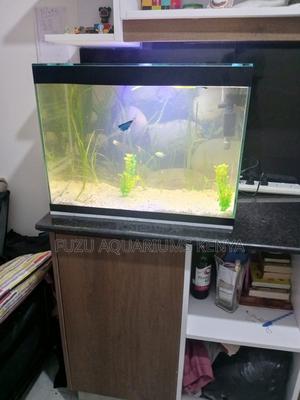 Complete 60l Aquarium Set – Home or Office Ready - thumbnail 2