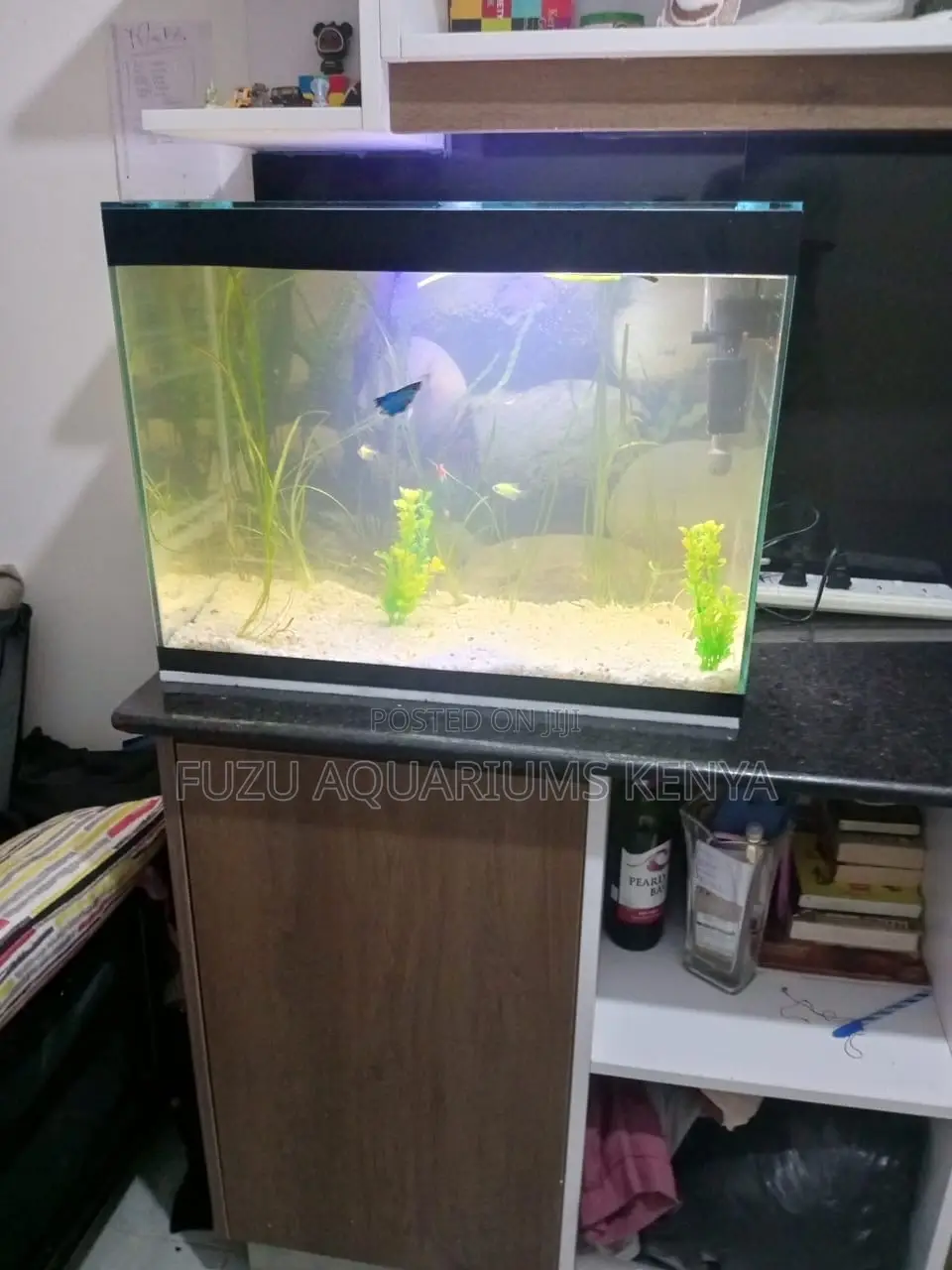 Complete 60l Aquarium Set – Home or Office Ready