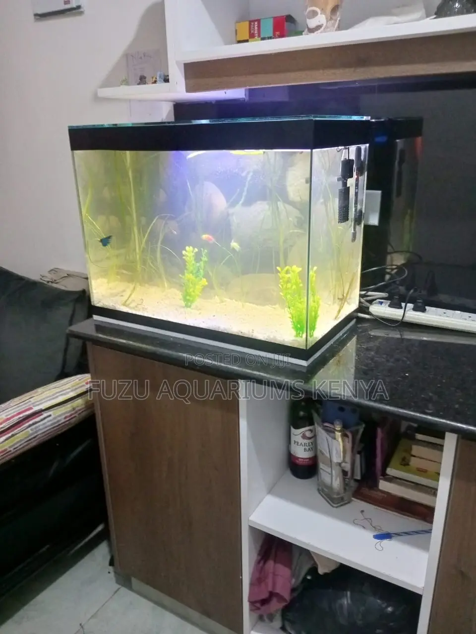 Stylish Aquarium for a Peaceful Living Space