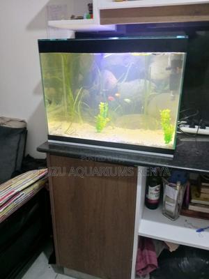 Aquarium Starter Kit – 2ft of Serenity - thumbnail 2