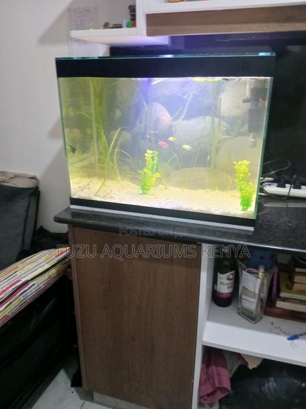 Aquarium Starter Kit – 2ft of Serenity - main view