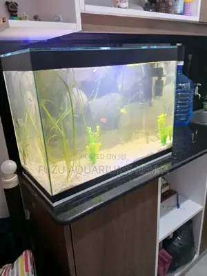 2ft Aquarium With Fish Accessories – Hassle-Free Setup