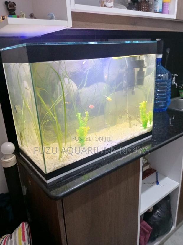 2ft Aquarium With Fish Accessories – Hassle-Free Setup - main view