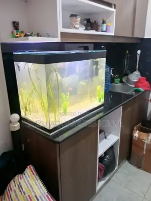 Bring Nature Indoors With This Stunning Aquarium