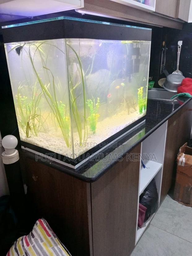 Beautiful 60l Aquarium – Fully Equipped - main view