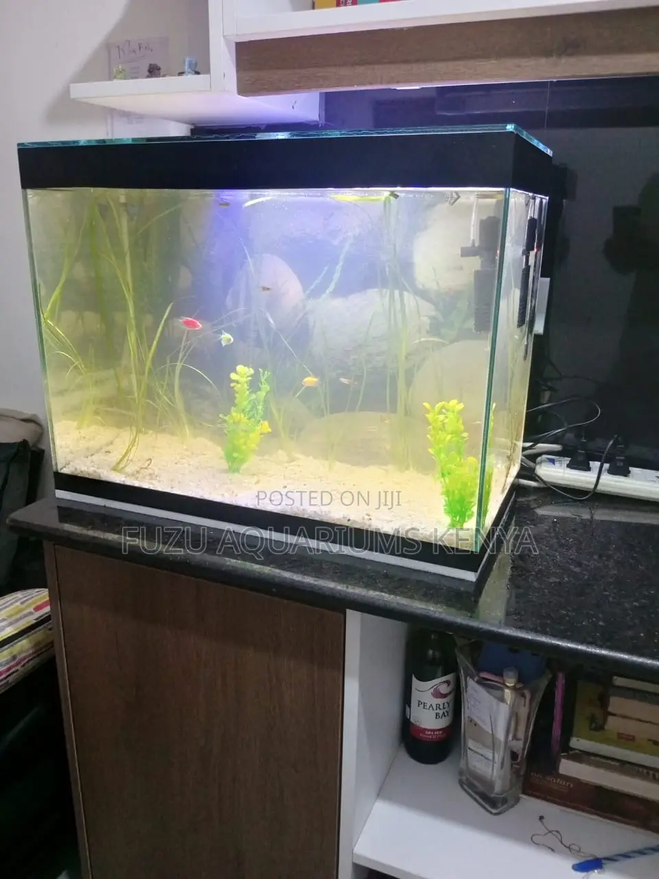 Turn Your Room Into a Mini Ocean World