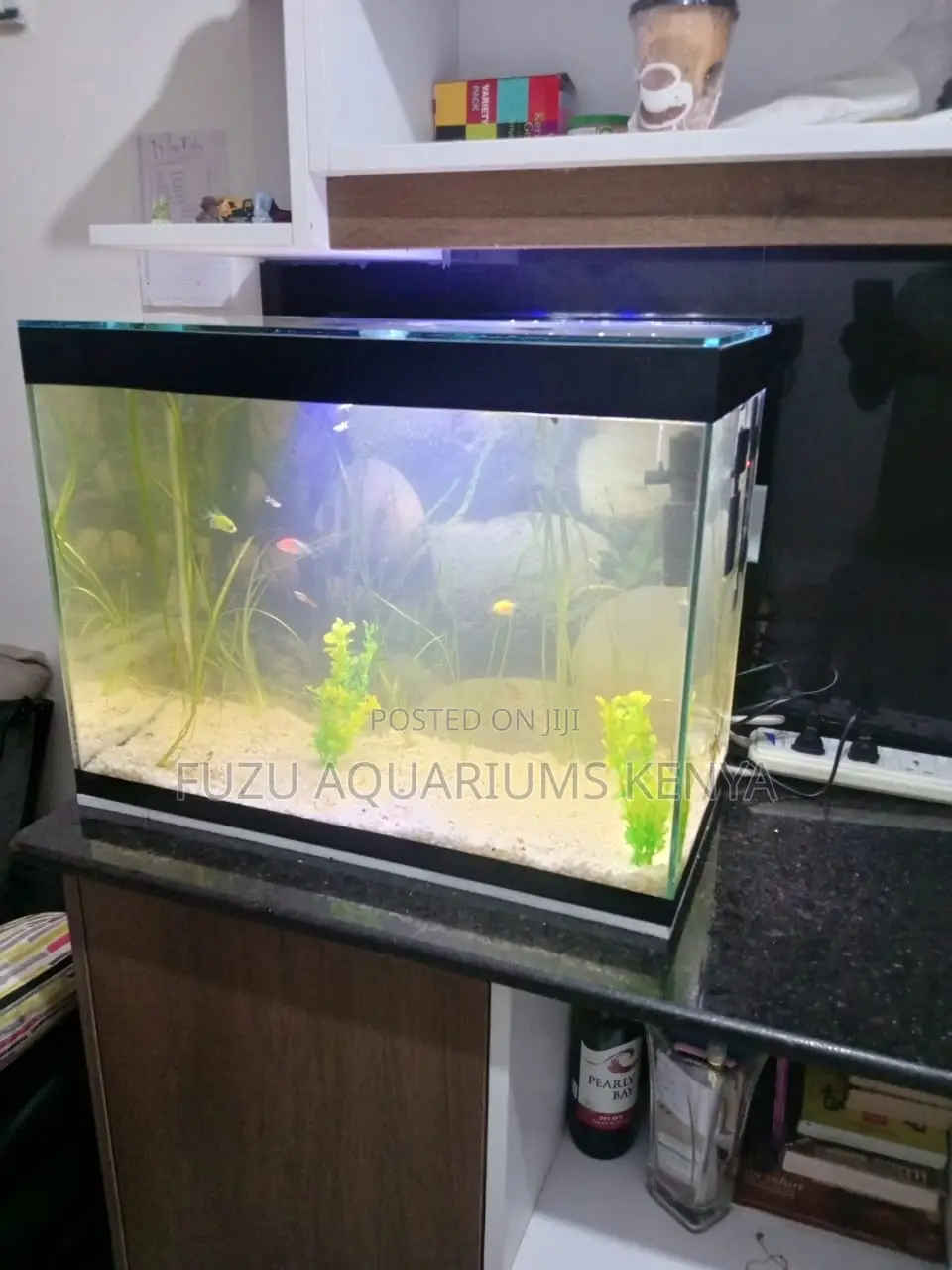 Aquarium Perfection in Just 2ft – All-in-One Kit