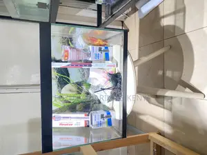 Capture Calm With a Fully Stocked 2ft Fish Tank