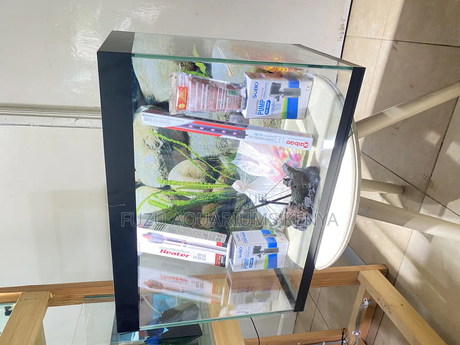 Chic, Compact Complete – 60l Aquarium Deal