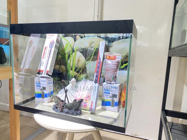 Brighten Your Home With a Lively Fish Display - main view