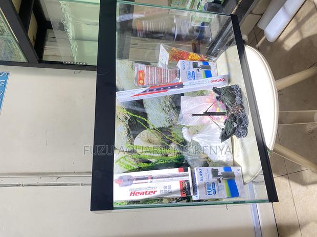 2ft Aquarium With Everything You Need – Just Add Water!