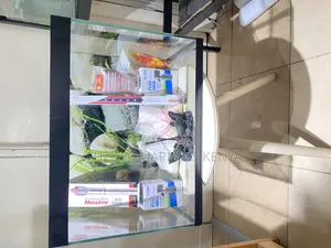Live, Light, and Lush – 60l Aquarium Setup