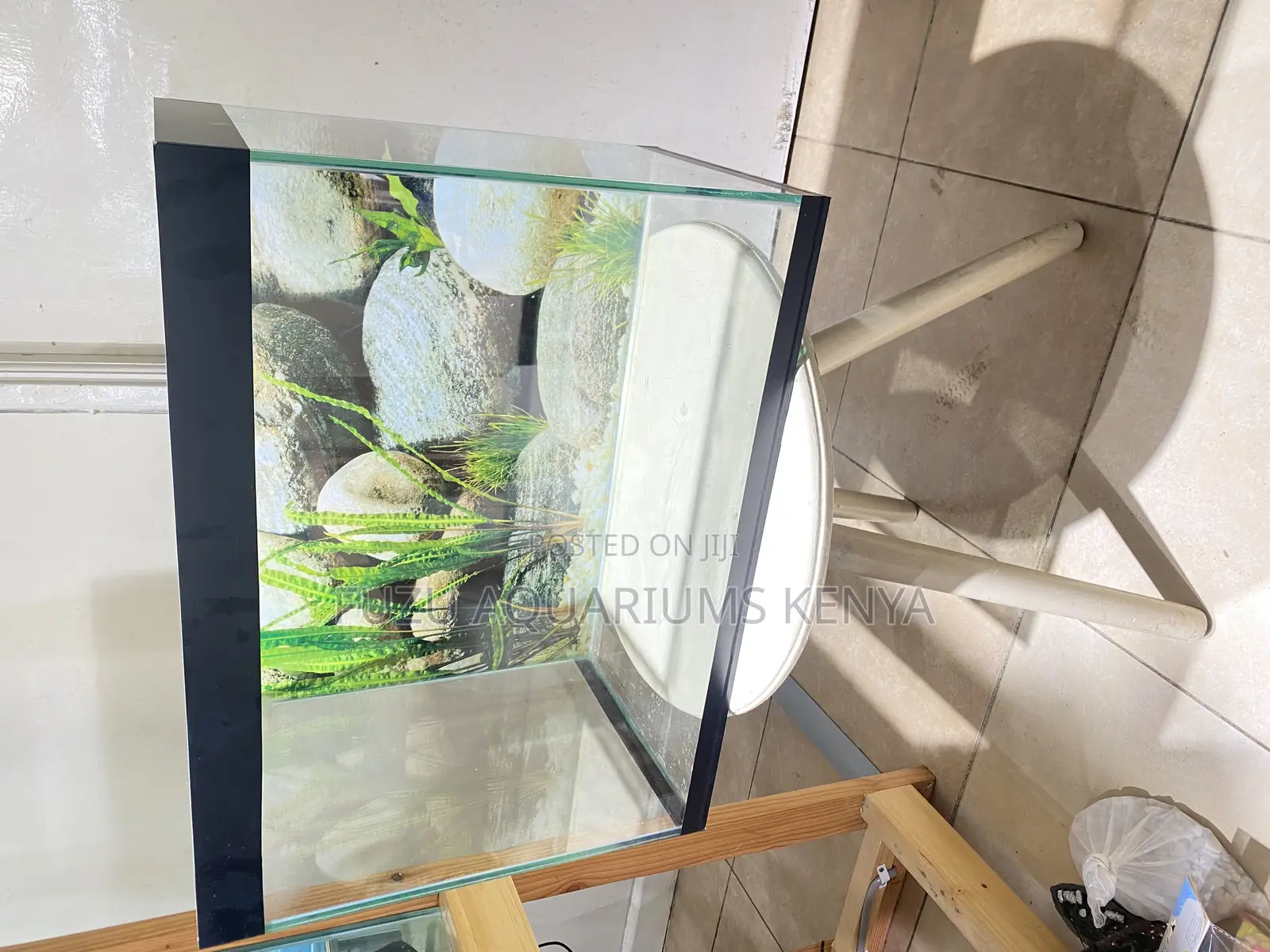 Upgrade Your Decor With a Gorgeous Fish Tank