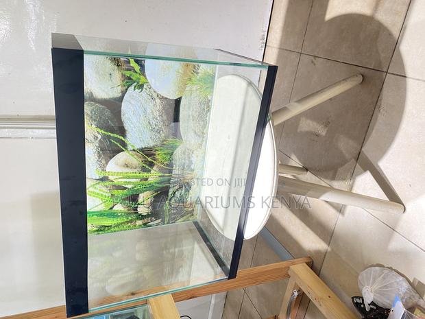 Upgrade Your Decor With a Gorgeous Fish Tank - main view